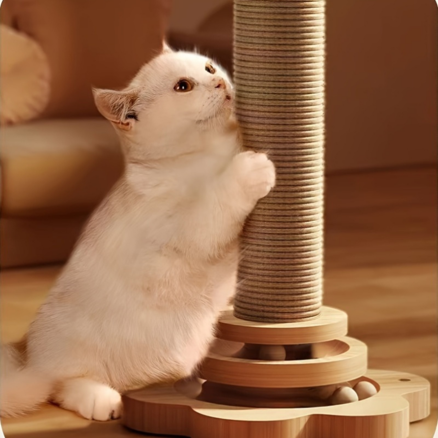 Griffoir en Bois Robuste pour Chat avec Tige en Sisal et Jouets Colorés