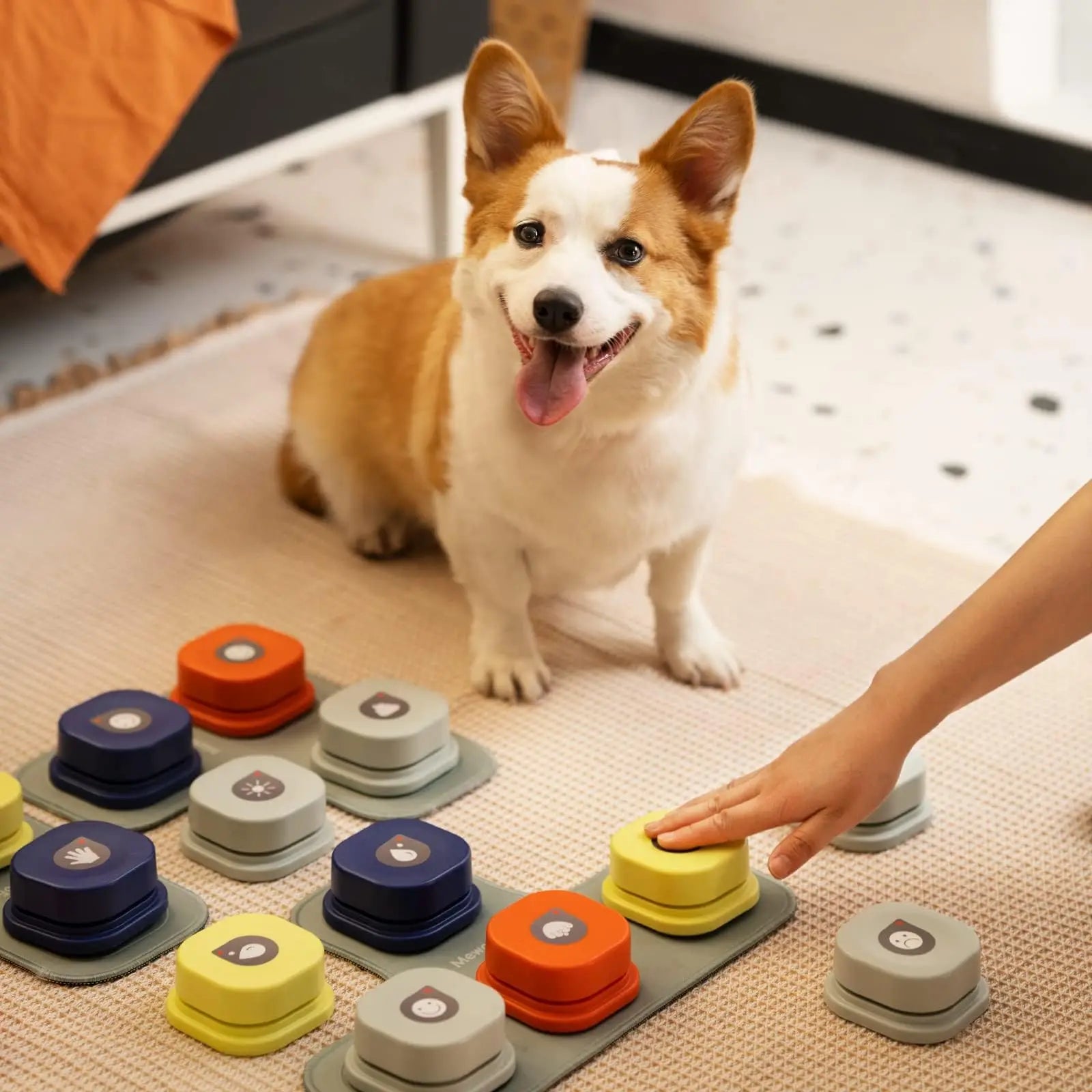 Boutons de communication pour chiens