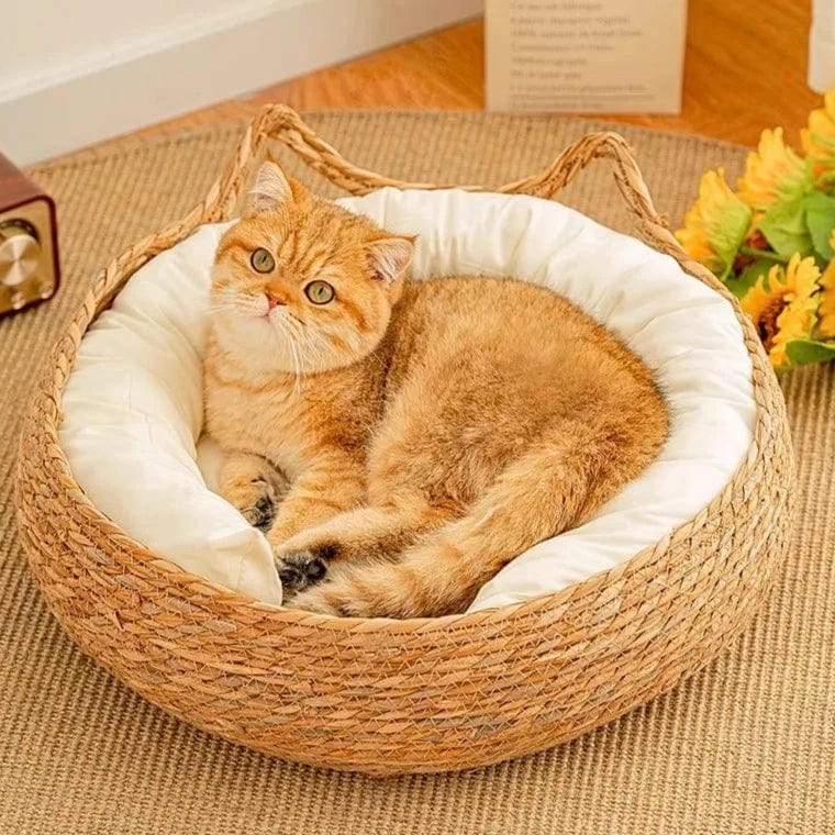 Panier en osier pour chat