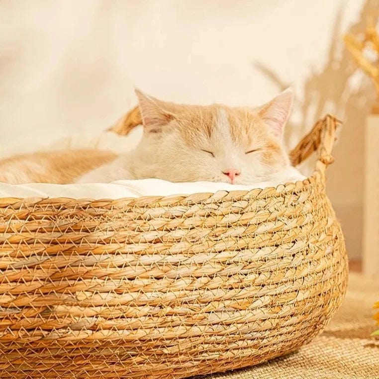 Panier en osier pour chat